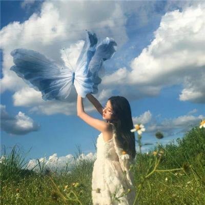 三宝闹深圳