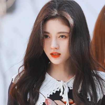 海豚的故事2